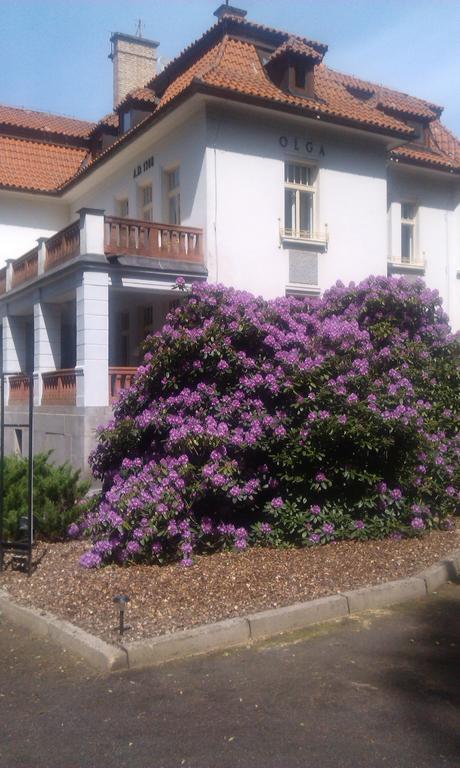 Vila Olga Jevany Bagian luar foto
